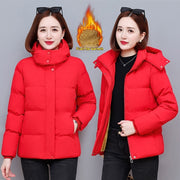 Fall Winter Hooded Cotton-padded Clothes For Plus Size Women
